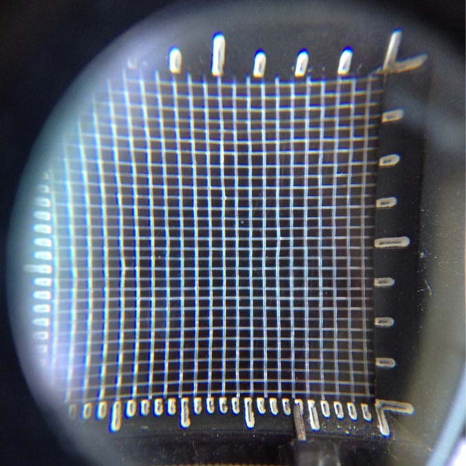 40目蔬菜大棚常用防蟲(chóng)網(wǎng)